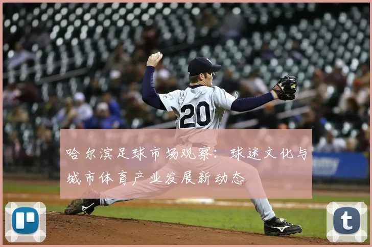 哈尔滨足球市场观察：球迷文化与城市体育产业发展新动态